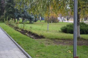 Concursul raional „Cea mai modernă, salubră și amenajată localitate”