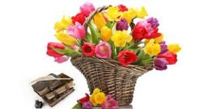 Mesaj de felicitare cu prilejul marcării Zilei profesionale a Bibliotecarului în R. Moldova, Ziua Internațională a Cărții și a Dreptului de Autor