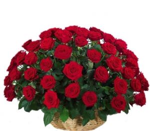 Mesaj de felicitare cu ocazia Zilei profesionale a lucrătorului din sfera protecției sociale a populației