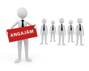 Concurs pentru ocuparea funcţiei vacante Manager al Instituţiei Publice “Incubatorul de Afaceri din Cimişlia ”