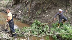 Pagube și distrugeri în urma ploilor torențiale la Cimișlia