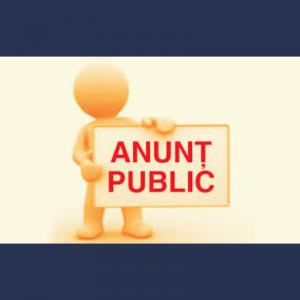 ANUNȚ privind desfășurarea audierilor publice la proiectul bugetului raional pentru anul 2021