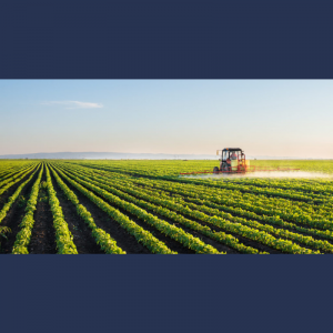 Mesaj de felicitare cu prilejul Zilei Agricultorului!