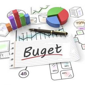 Prezentarea bugetului raional pentru cetățeni