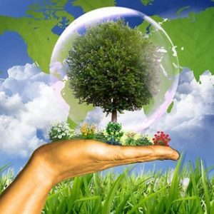 5 Iunie – Ziua Mondială a mediului