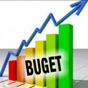 BUGET PENTRU CETĂȚENI Executarea bugetului raional la situația din 31.07.2021
