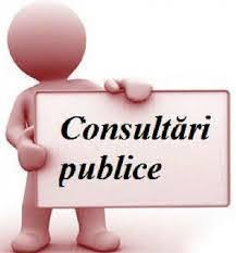ANUNŢ privind organizarea consultării publice a proiectului de decizie cu privire la raportul privind executarea bugetului raional pentru semestrul I al anului 2021