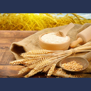 Mesaj de felicitare de Ziua Lucrătorului din Agricultură şi Industrie Prelucrătoare!