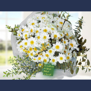 Mesaj de felicitare cu ocazia  Hramului „Sfinții Arhangheli Mihail şi Gavriil”!