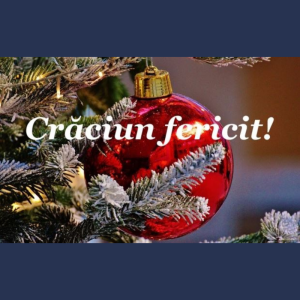 Mesaj de felicitare cu prilejul Sfintei Sărbători – Crăciunul!