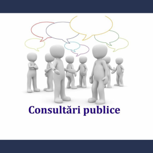 ANUNȚ privind organizarea consultării publice a proiectului de decizie cu privire la aprobarea Cartei de audit intern