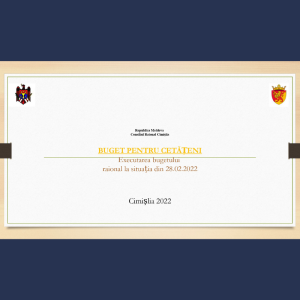 BUGET PENTRU CETĂȚENI Executarea bugetului raional la situația din 28.02.2022