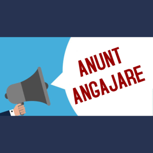 Consiliul Raional Cimişlia anunță concurs pentru ocuparea funcţiei publice vacante de specialist principal (achiziții), Secția Contabilitate