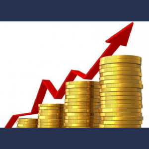 Buget pentru cetățeni – Executarea bugetului raional pentru 7 luni anul 2022