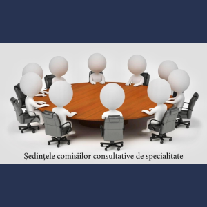Desfășurarea ședințelor Comisiilor consultative de specialitate ale Consiliului Raional Cimișlia