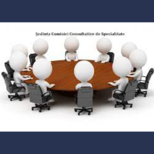 Desfășurarea ședințelor Comisiilor Consultative de Specialitate ale Consiliului Raional Cimișlia