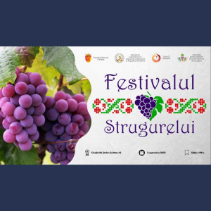Festivalul Național al Strugurelui, ediția a VIII-a