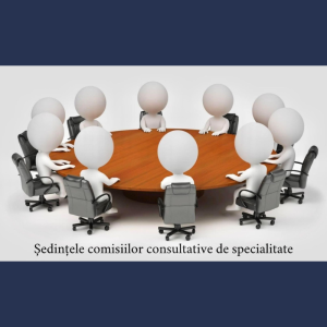 Desfășurarea ședințelor Comisiilor Consultative de specialitate ale Consiliului Raional Cimișlia