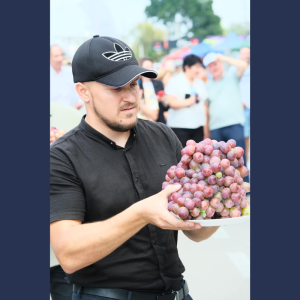 Cel mai mare strugure din Moldova cântărește 3 kg și 805 grame