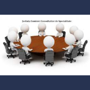 Desfășurarea ședințelor Comisiilor Consultative de specialitate ale Consiliului Raional Cimișlia