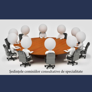 Desfășurarea ședințelor Comisiilor Consultative de specialitate ale Consiliului Raional Cimișlia