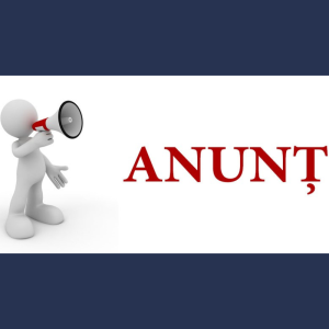 Anunț cu privire la licitație cu strigare