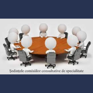 Desfășurarea ședințelor Comisiilor Consultative de specialitate ale Consiliului Raional Cimișlia