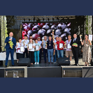 Festivalul Național al Strugurelui, ediția a IX-a – o celebrare a tradițiilor și excelenței viticole