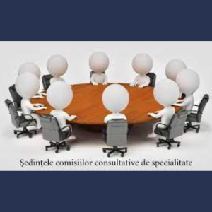 Desfășurarea ședințelor Comisiilor Consultative de Specialitate ale Consiliului Raional Cimișlia
