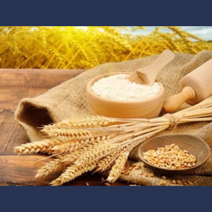Mesaj de felicitare cu prilejul Zilei Lucrătorului din Agricultură și Industria Prelucrătoare