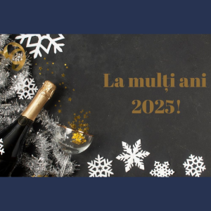 Un Nou An, noi speranțe: Mesajul Președintelui Raionului Cimișlia, Andrian Talmaci pentru Anul Nou 2025!