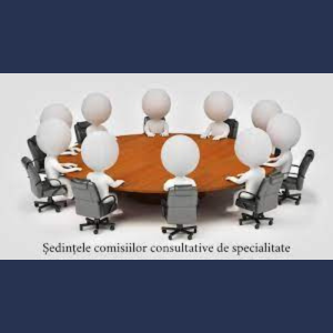 Desfășurarea ședințelor Comisiilor Consultative de Specialitate ale Consiliului Raional Cimișlia  