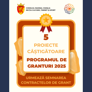 Rezultatele Programului de Granturi 2025 – 5 proiecte câștigătoare!