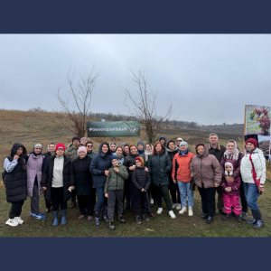 Echipa Consiliului Raional Cimișlia au participat la acțiunea de împădurire „Generația pădurii”