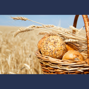 Mesaj de felicitare cu prilejul Zilei Lucrătorului din Agricultură și Industria Prelucrătoare