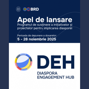 Apel de grant pentru susținerea inițiativelor și proiectelor pentru implicarea diasporei – Diaspora Engagement Hub