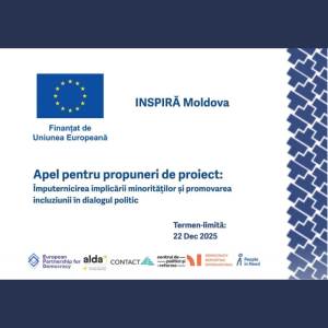 Apel pentru propuneri de proiect: Împuternicirea implicării minorităților și promovarea incluziunii în dialogul politic