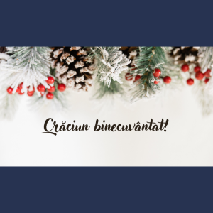 Crăciun binecuvântat! Mesajul Președintelui Raionului Cimișlia, Andrian Talmaci, cu prilejul Crăciunului