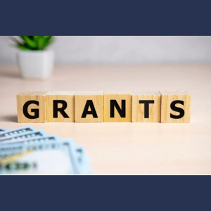 Programul pentru inițiative locale finanțat de CFLI (Canada)