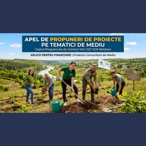 Programul de Granturi Mici pentru Mediu și Dezvoltare Durabilă