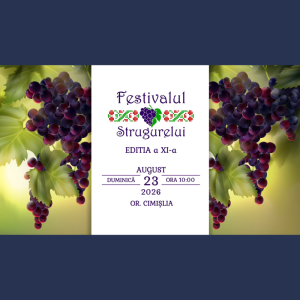 Festivalul Național al Strugurelui, ediția a XI-a