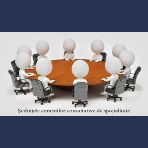 Desfășurarea ședințelor Comisiilor Consultative de Specialitate ale Consiliului Raional Cimișlia