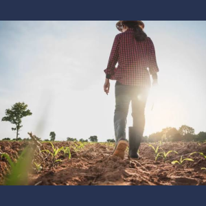 Program de suport pentru femeile antreprenoare din domeniul agricol