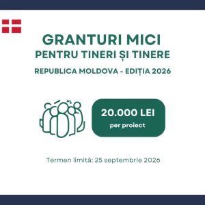 Granturi mici pentru tineri și tinere – ediția 2026