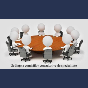 Desfășurarea ședințelor Comisiilor Consultative de Specialitate ale Consiliului Raional Cimișlia